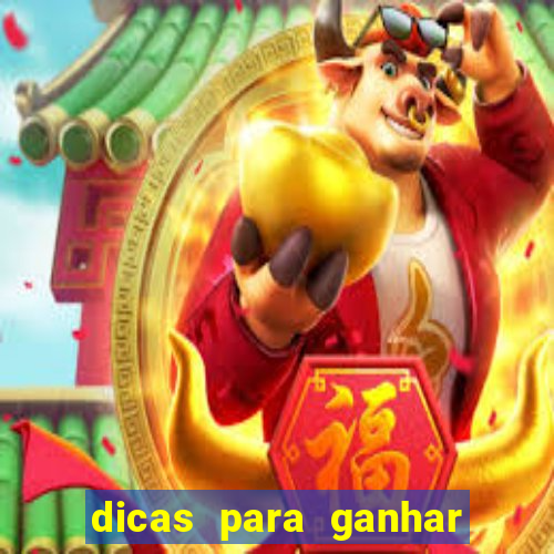 dicas para ganhar no fortune rabbit